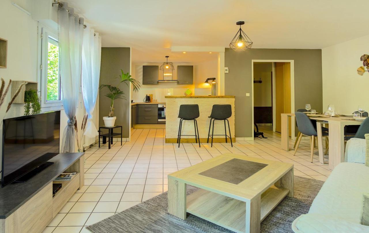 100 Geneve Joli T2 Avec Place De Parking Privee Annecy Exterior foto